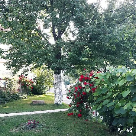 Gospic Riverside Apartment Exterior photo