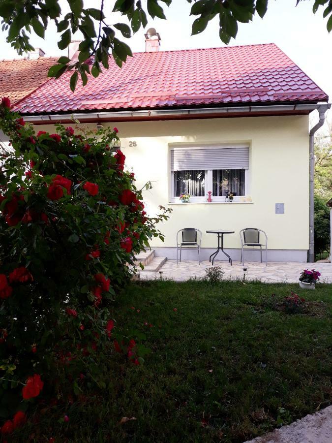 Riverside Apartment Gospic